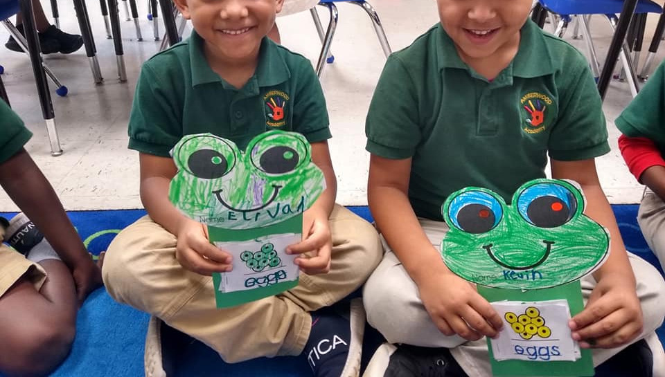 Frog Life-Cycle Book Activity