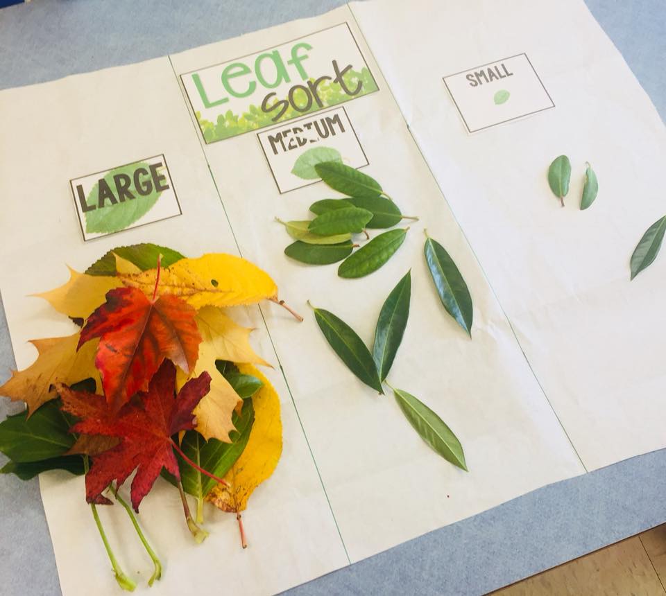 preschool-leaf-theme-lesson-plan-teachersmag