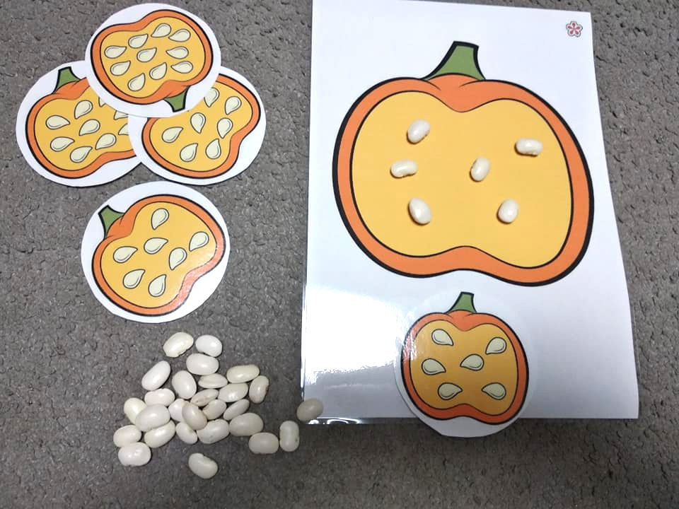 Pumpkin Math and Matching Activity: Counting Seeds