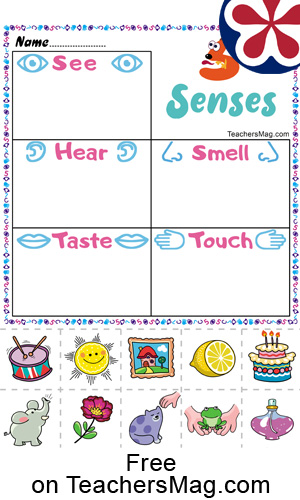 Free Worksheets About the 5 Senses for Preschoolers. TeachersMag.com