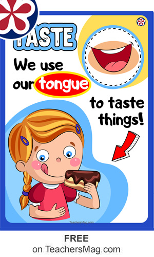 Free Downloadable Senses Poster Set. TeachersMag.com