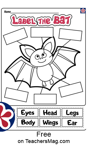 Bat Worksheets | TeachersMag.com