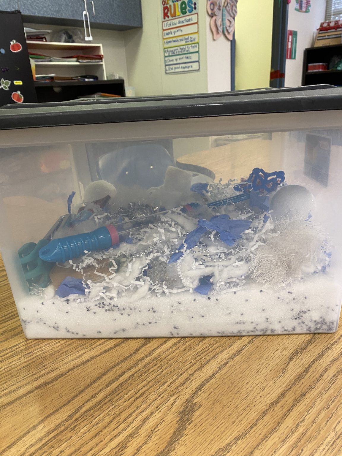 Fun Sensory Bins for Autistic Children