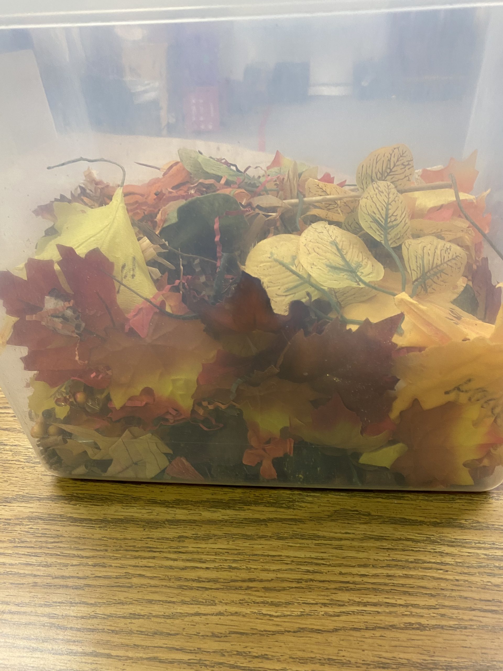 Fun Sensory Bins for Autistic Children.