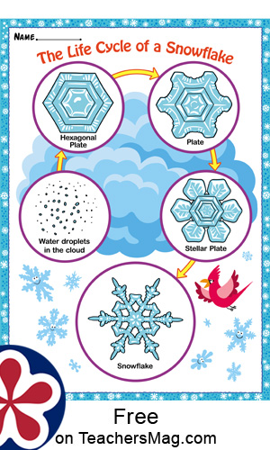 Snowflakes Theme Printables