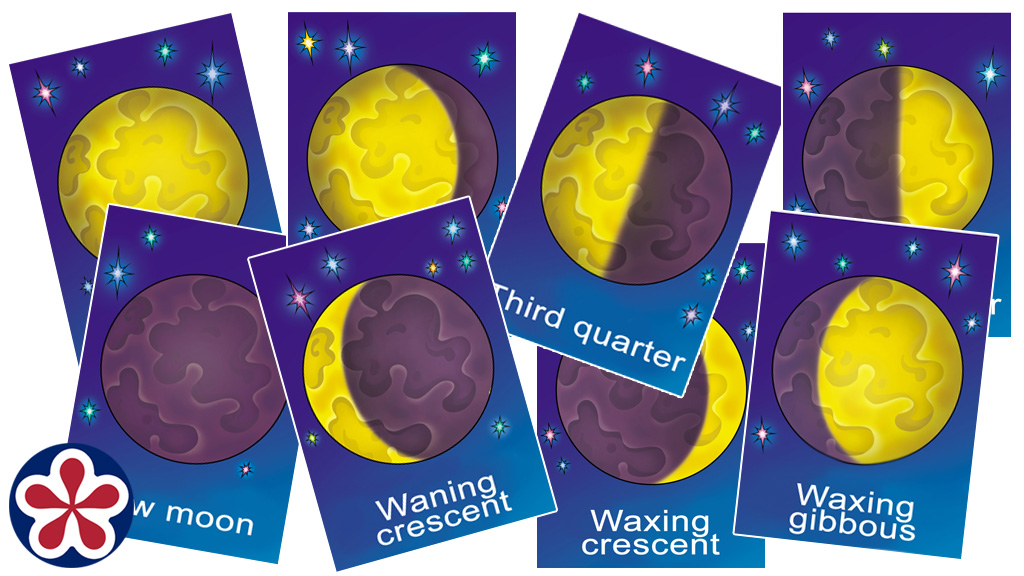 The Lunar Cycle Flashcards