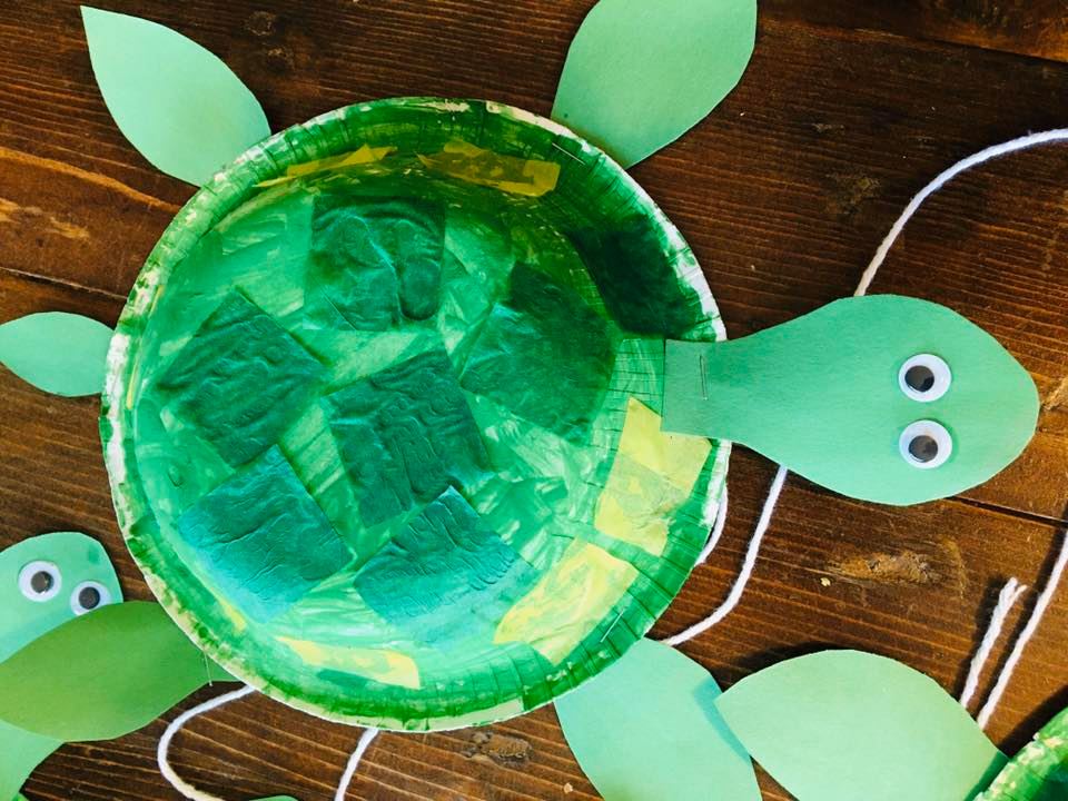 Pet Turtle Paper Craft for Preschoolers