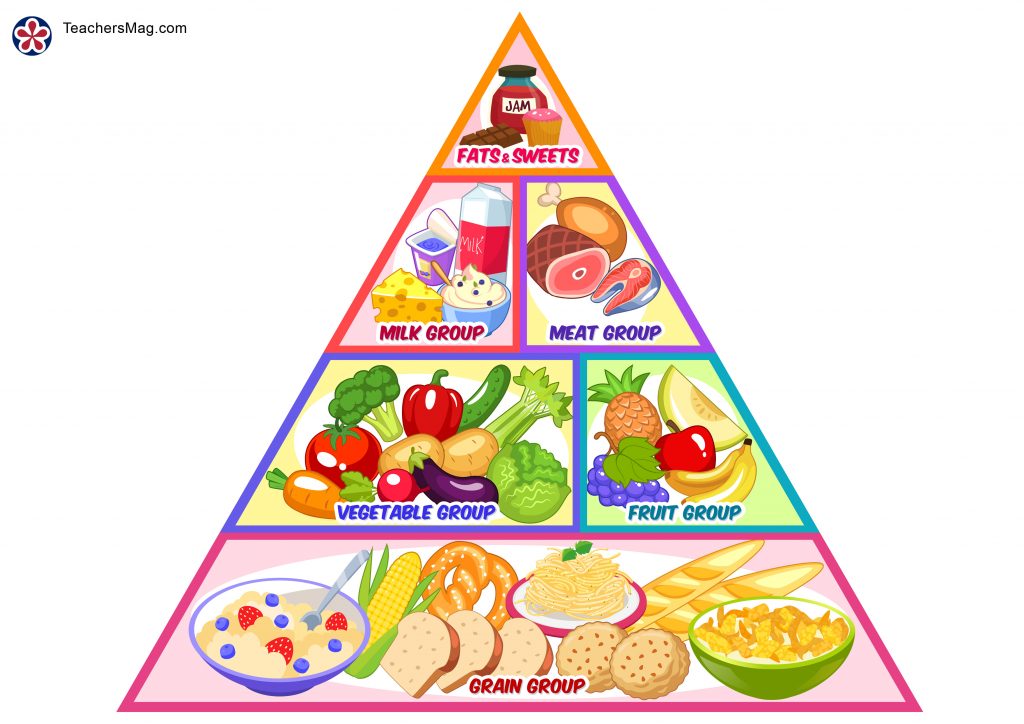 food-pyramid-printable-worksheets