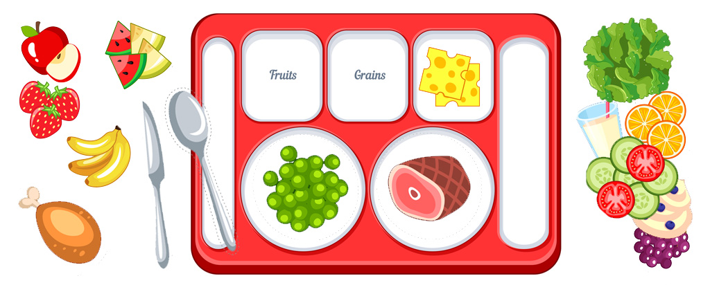 Food Group Sorting Activity: What's On My Plate?