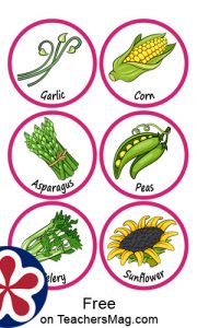 Printable Sorting Activity About the Parts of the Plants We Eat