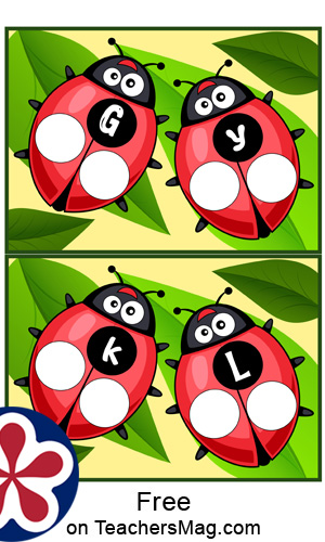 Ladybug Letter Case Matching Activity