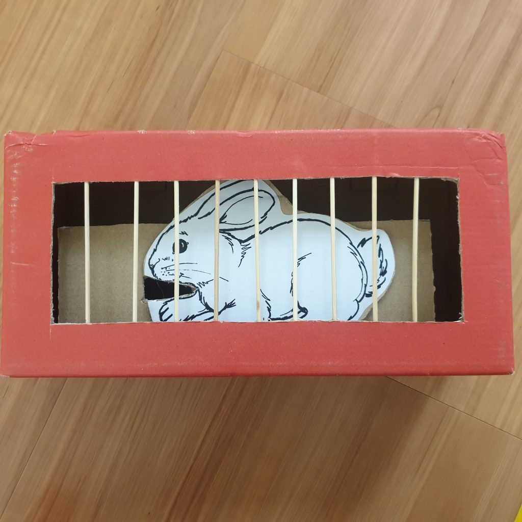 Feed Rabbit in a cage using shoe box and stick