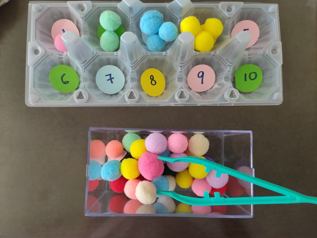 Egg Carton Color Match and Counting Activity