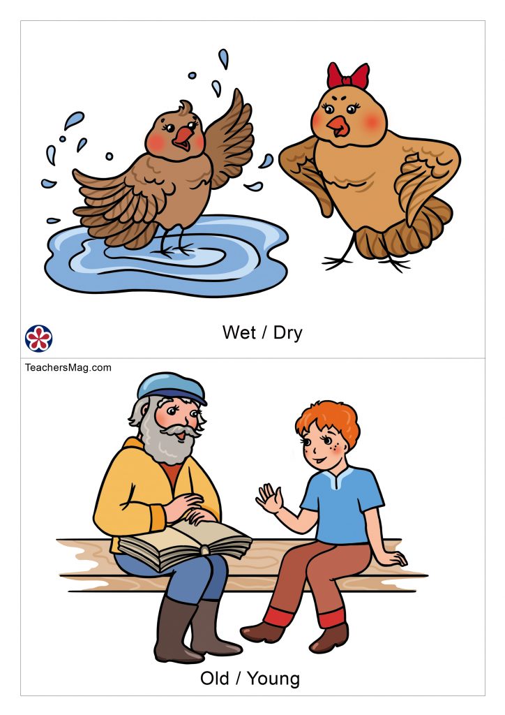 AntonymFocused Flashcards for Preschoolers2.