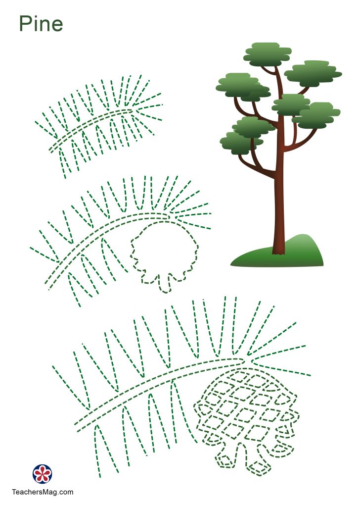 Printable Tree Leaves Tracing Activity Sheets for Kids2