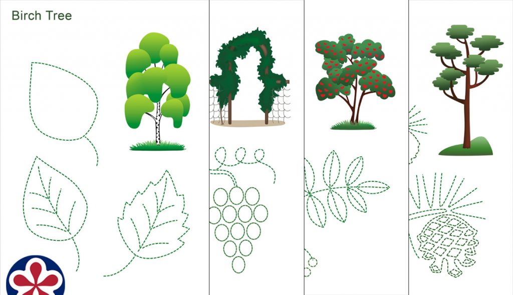 Printable Tree Leaves Tracing Activity Sheets for Kids