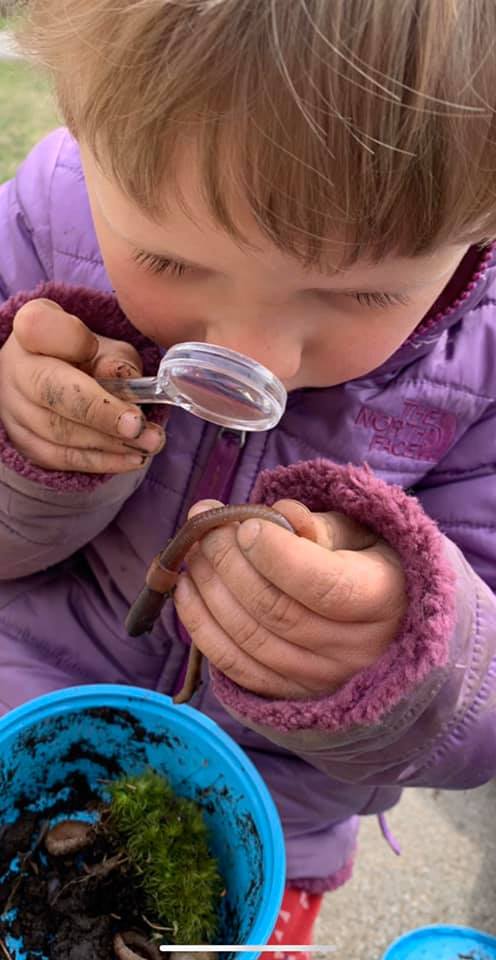 Dirt Exploration Activity for Kids
