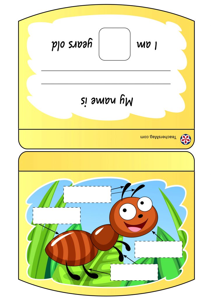 Ant Life Cycle DIY Book and Worksheet-2. TeachersMag.com