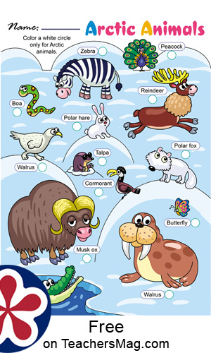 Arctic Animals Worksheets for Preschoolers. TeachersMag.com