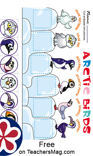 Arctic Animals Worksheets for Preschoolers. TeachersMag.com
