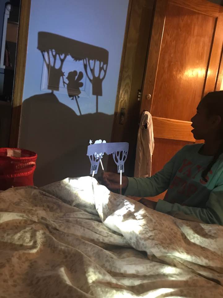 Shadow Puppets Activity