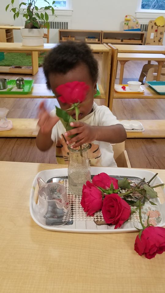 Making a Rose Bouquet