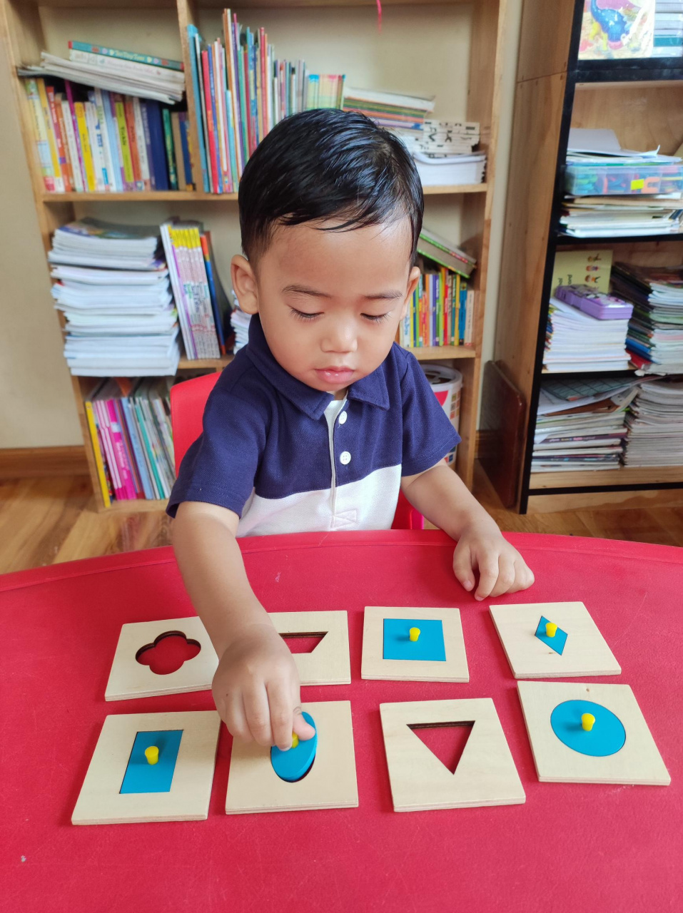 Montessori Shape Sorting Game