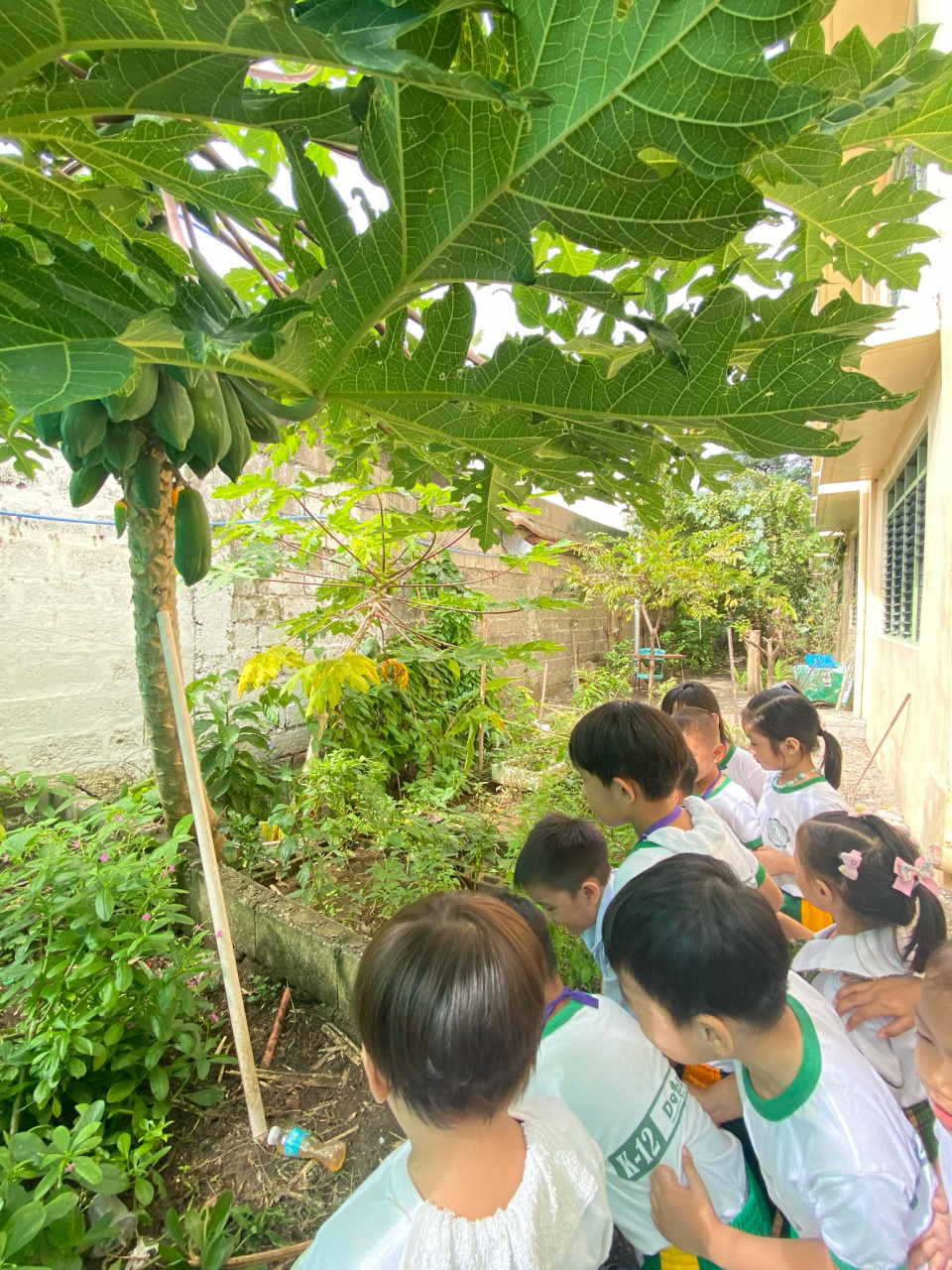 Lakbay Aral (School Tour)