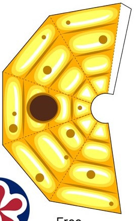 bees for kids in school or preschool