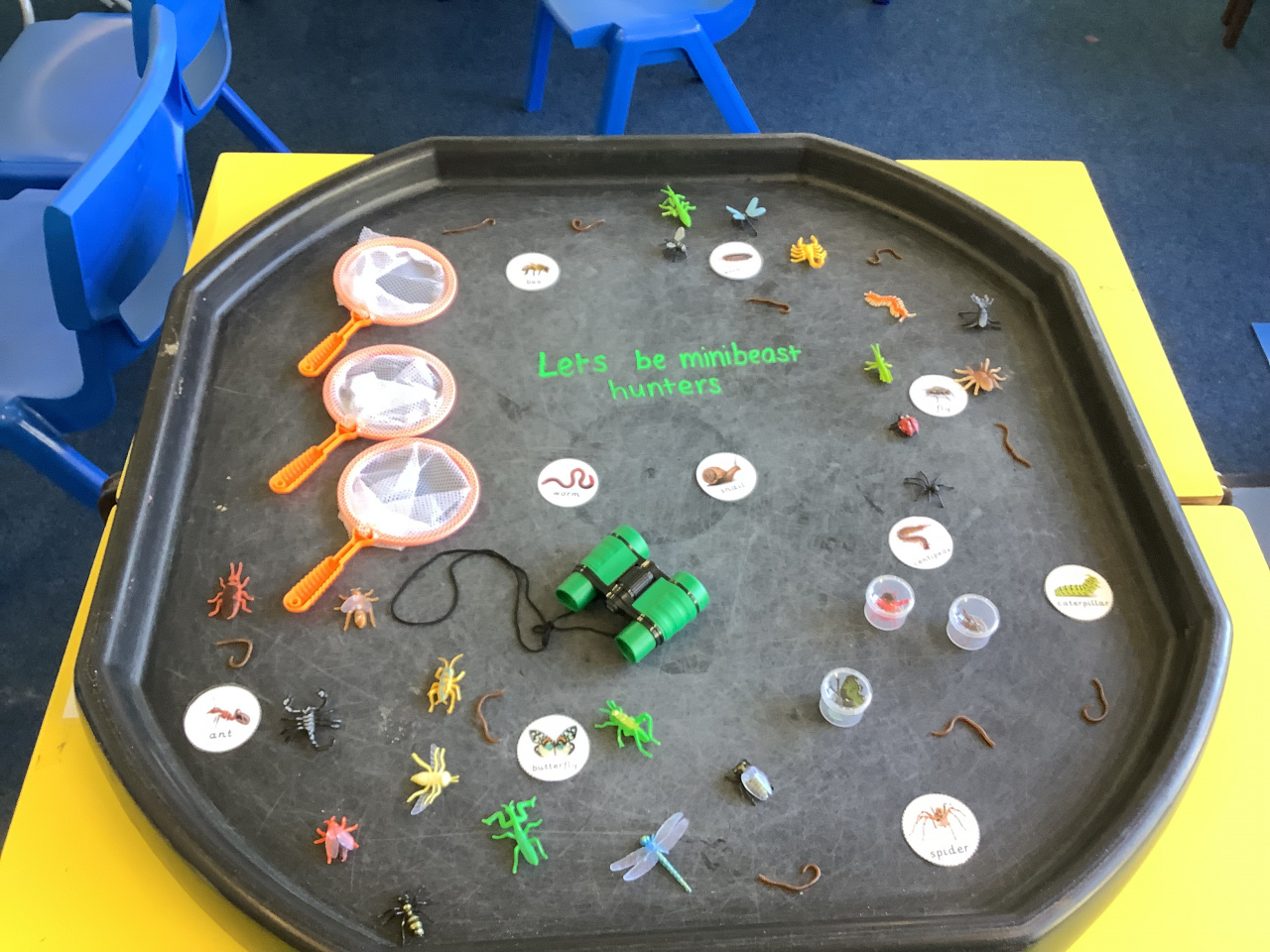 Minibeast hunt using model minibeasts