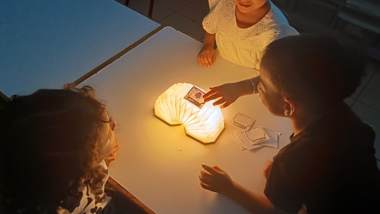 El zoo de los insectos Photo El zoo de los insectos