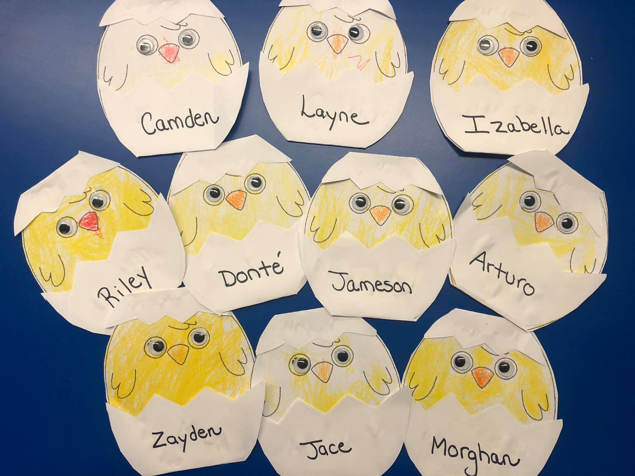 Activities About the Life Cycles of Chickens for Preschoolers ...